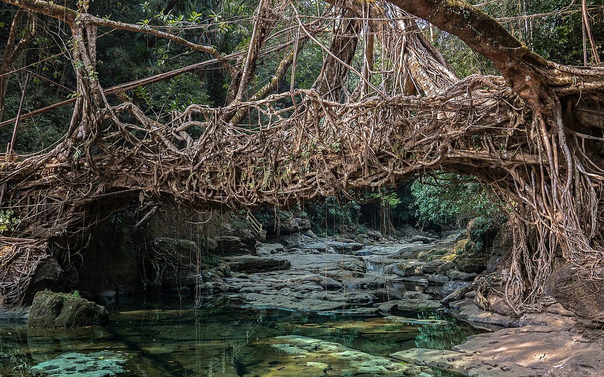 Meghalaya
